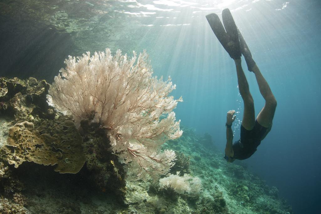 Villa Bahagia Nusa Lembongan  Bagian luar foto